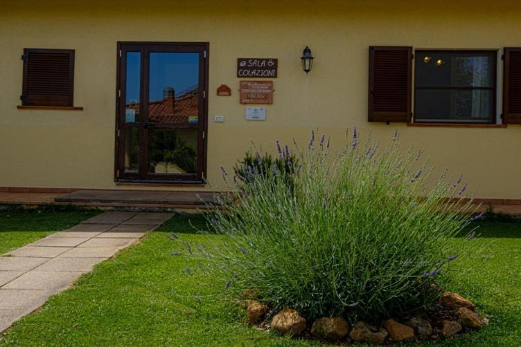 Agriturismo La Fata Гроссето Екстер'єр фото